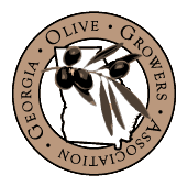 Georgia Olive Grower's Association